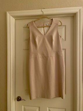 Katherine Barclay Beige Sheath Dress NWT